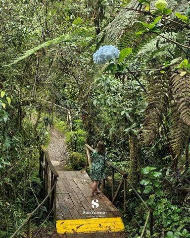 sendero termales san vicente